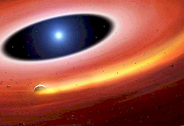 Le noyau de métaux lourds de Dead Planet trouvé en fusée autour d'un soleil mort dans un système solaire éloigné