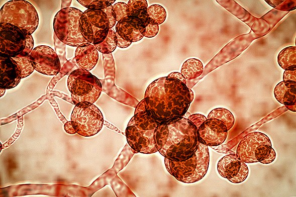 Deadly Fungal 'Superbug' sprer seg over hele verden, alarmerende forskere