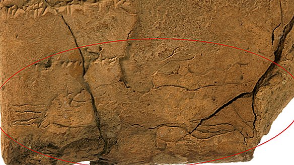 Un démon avec une langue fourchue trouvé sur une tablette d'argile dans la bibliothèque des exorcistes assyriens