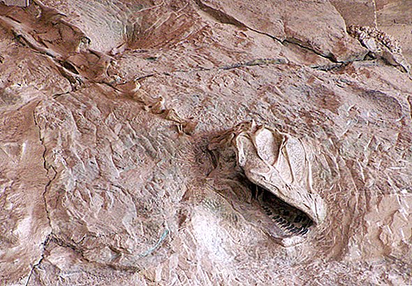 مقبرة دينو: صور نصب الديناصورات الوطني