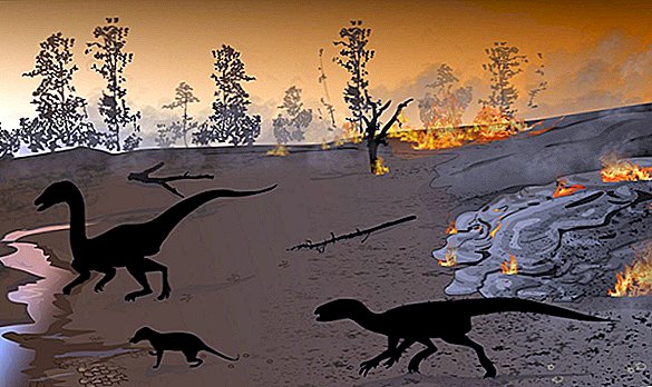 ไดโนเสาร์ 'Firewalkers' ทิ้งไว้ข้างหลังรอยเท้ายักษ์ใน 'ดินแดนแห่งไฟ'