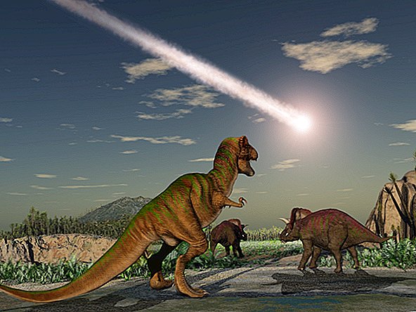 Dinosaurier kan ha överlevt asteroiden, hade den träffat nästan överallt