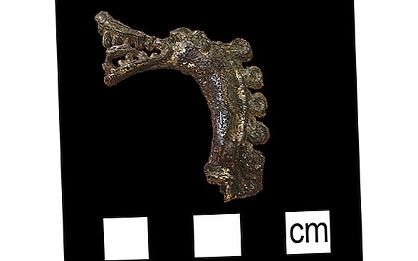 Objav vzácneho vikingského dračího kolíka rieši 130-ročné tajomstvo