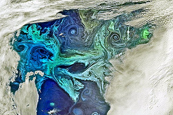 اكتشاف: لماذا تغطي الدوامات الطباشيرية الغريبة المحيط الجنوبي