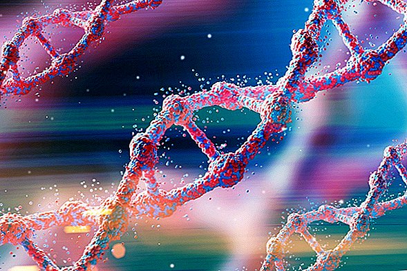 اكتشف العلماء أن الحمض النووي واحد فقط من أكثر من مليون جزيء جيني محتمل