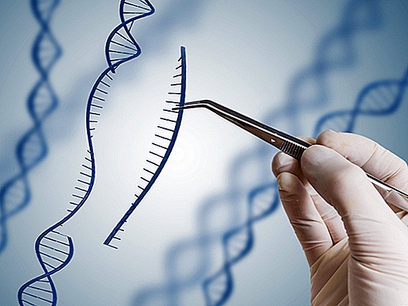Doktor yang cuba menggunakan CRISPR untuk melawan kanser. Percubaan Pertama Mencadangkan Ia Selamat.