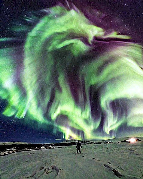 「ドラゴンオーロラ」がアイスランドの空に登場し、NASAは少し混乱している