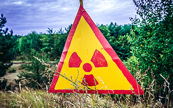 Drones vinden onverwachte stralingshotspots in het bos bij Tsjernobyl