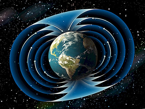 El Polo Norte magnético de la Tierra se movía tan rápido que los geofísicos tuvieron que actualizar el mapa