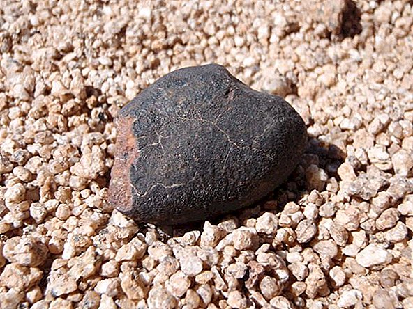 A coleção mais antiga de meteoritos da Terra acaba de ser encontrada no lugar mais seco do planeta