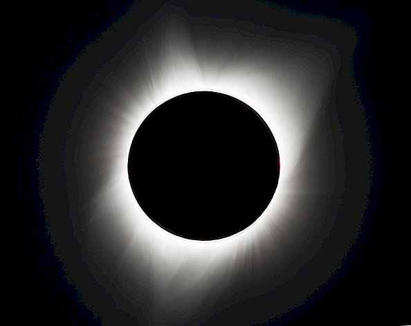 L'aereo degli osservatori di Eclipse si schianta durante il viaggio di ritorno
