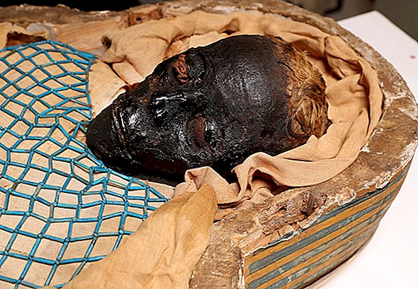 Fermeture de l'affaire froide d'une momie égyptienne: `` Takabuti '' a été poignardé à mort
