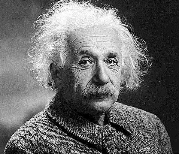 מכתבו של איינשטיין המדבר על 'היטלר-אי שפיות' למכירה פומבית