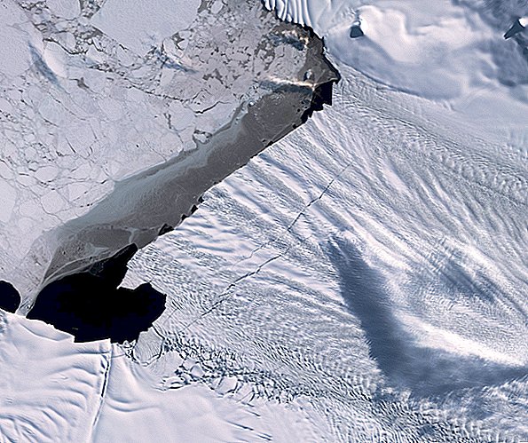 Truet Antarktis-gletsjer kunne snart kalve en massiv ny isbjerge