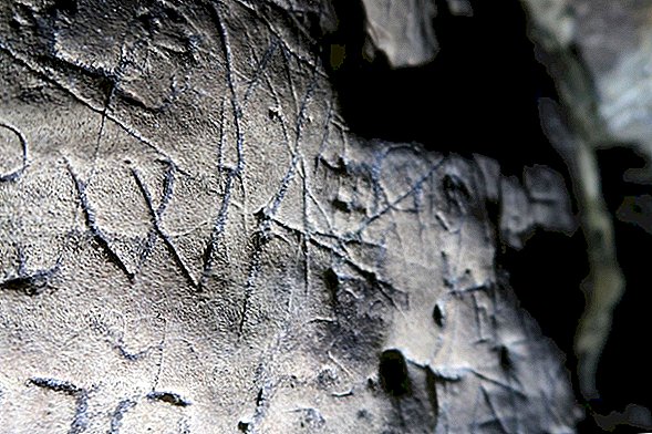 इंग्लैंड की सबसे पुरानी गुफा-कला साइट ईविल स्पिरिट्स को बंद करने के लिए संकेतों के साथ कवर की गई है