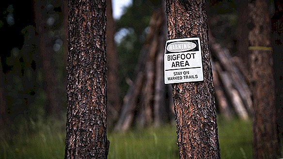 „Expedition Bigfoot“ apžiūri Oregono miškus mitinio ir išskirtinio žvėries ženklams