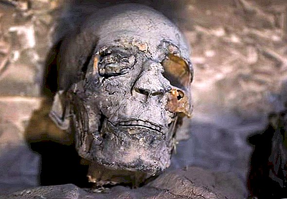 이집트에서 가장 큰 무덤 중 하나에서 발견 된 정교하게 보존 된 미라