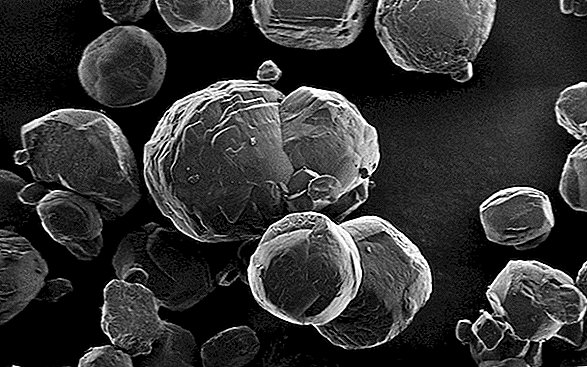 Extreme microben gevonden in kristallen begraven 200 voet onder de Japanse zee