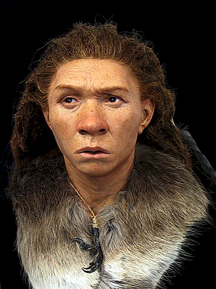 Лица, създадени отново от древните европейци, включително неандерталката и кроманьонския мъж