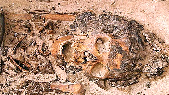 A primeira evidência de 'cones da cabeça' encontrada na tumba egípcia de 3.300 anos