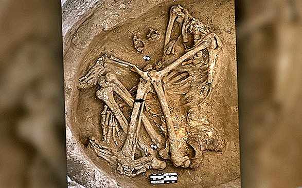 كانت المدينة الأولى من العصر الحجري الحديث مكتظة للغاية حيث بدأ الناس في محاولة قتل بعضهم البعض