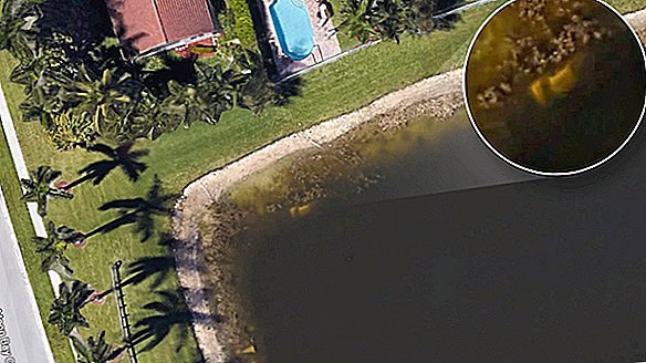 Florida Man Menerangkan Badan Mati Berusia Dahulu Menggunakan Google Earth
