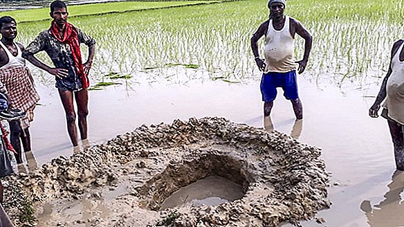 Метеорит размером с футбольный мяч мог приземлиться на индийском рисовом поле