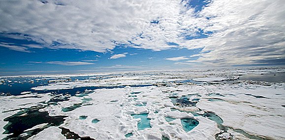 Vremea călduroasă în Arctica are știința climatului „uimit”