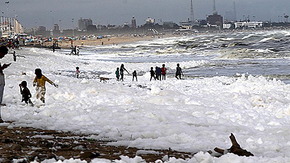 Bolle schiumose e tossiche coprono una delle spiagge più famose dell'India