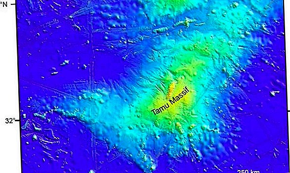 Geocientistas estavam errados sobre o 'maior vulcão do mundo'