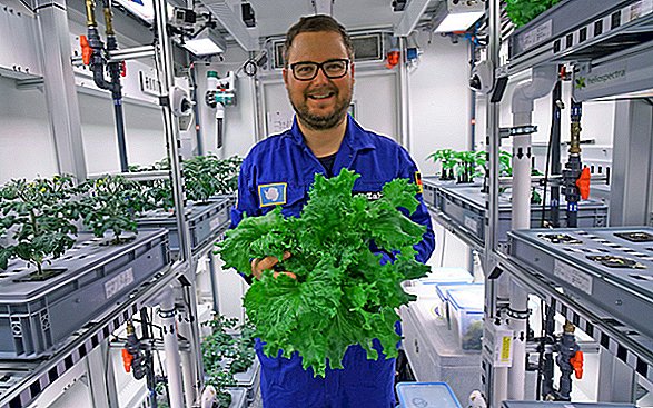Duitse wetenschappers oogsten hun eerste Antarctische salade en het ziet er fantastisch uit