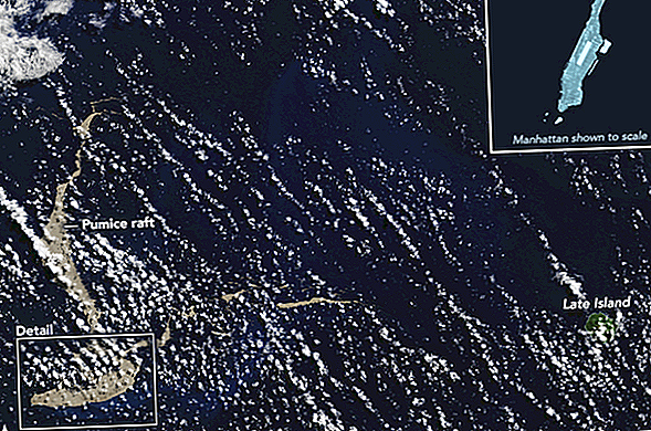 Un radeau de lave géant dérivant vers l'Australie pourrait aider à sauver la grande barrière de corail