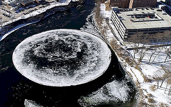 Um disco gigante e giratório de gelo parece uma criação alienígena. Aqui está como se formou.