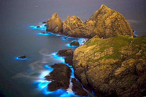Kvēlojošās “zilās asaras” Ķīnas jūrās ir neticami toksiskas - un tās aug