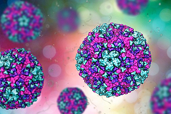 Going Virus: 6 jauni atklājumi par vīrusiem