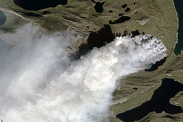 O maior incêndio da Groenlândia é um 'aviso' para o seu futuro