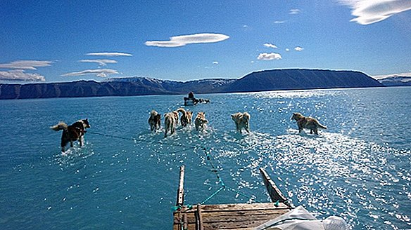 Los deshielos de verano de Groenlandia han comenzado temprano, y son muy malos este año