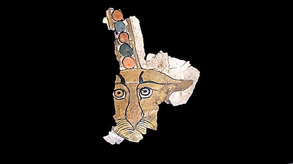 Hallo poes! Luipaardgezicht gereconstrueerd uit oude Egyptische sarcofaag
