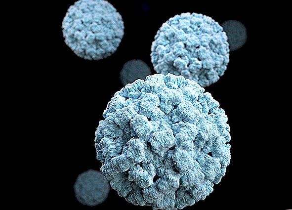 Veja como o Norovirus toma conta de seu intestino - e não o deixa ir