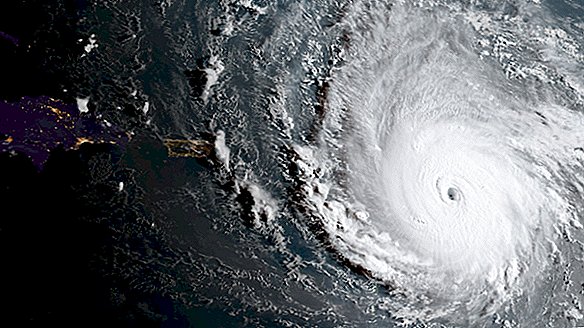 So können Sie den Hurrikan Irma Online verfolgen