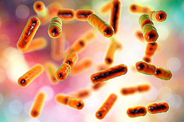 النظام الغذائي الغني بالدهون قد يكون سيئًا لبكتيريا الأمعاء