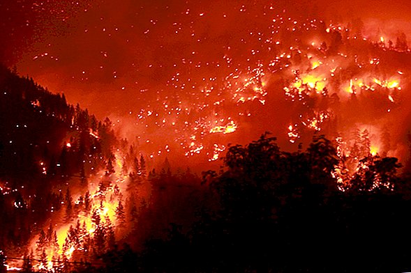 Làm thế nào để cháy rừng bắt đầu?