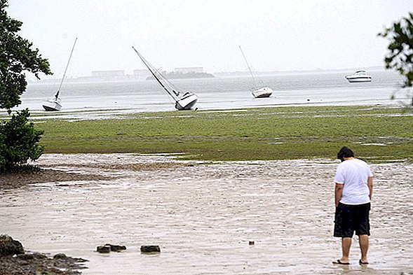 כיצד הרוחות של הוריקן אירמה סחטו (באופן זמני) את מפרץ טמפה
