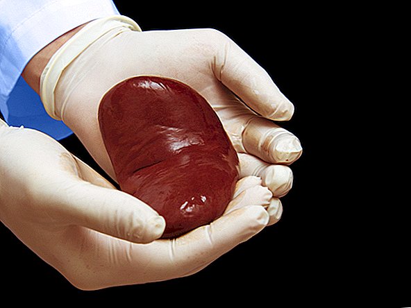 Jak długo organy mogą pozostawać poza ciałem, zanim zostaną przeszczepione?