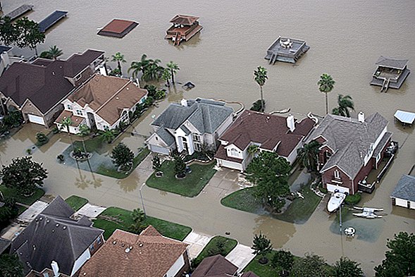 Kui kaua võtab Houstoni üleujutusvee äravool?