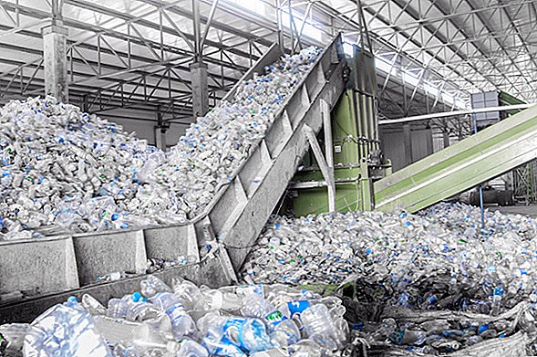 Hur mycket plast verkligen återvinns?