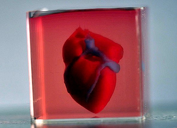 كيف طبع العلماء 3D قلبًا صغيرًا من الخلايا البشرية