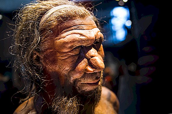 Quão inteligentes eram os neandertais?