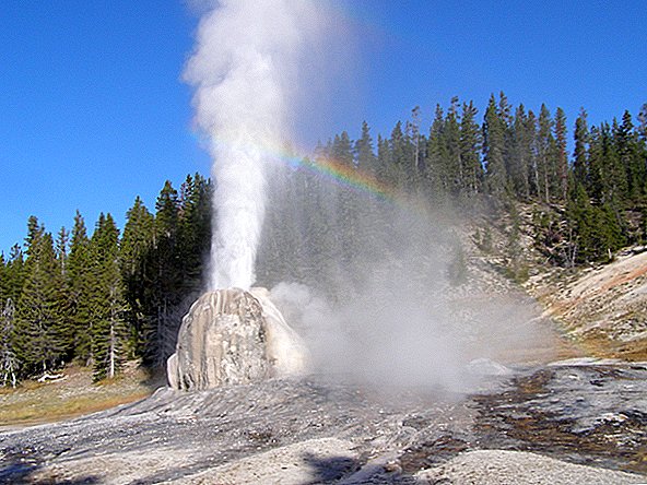 Comment ils soufflent: les secrets des geysers de Yellowstone