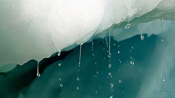 تقرير عن اضطراب الإنسان في محيطات الجليد والجليد "غير مسبوق" ، يقول "تقرير تقشعر فيه الأبدان"